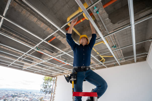 Best Plumbing Services Near Me  in Cleveland, FL